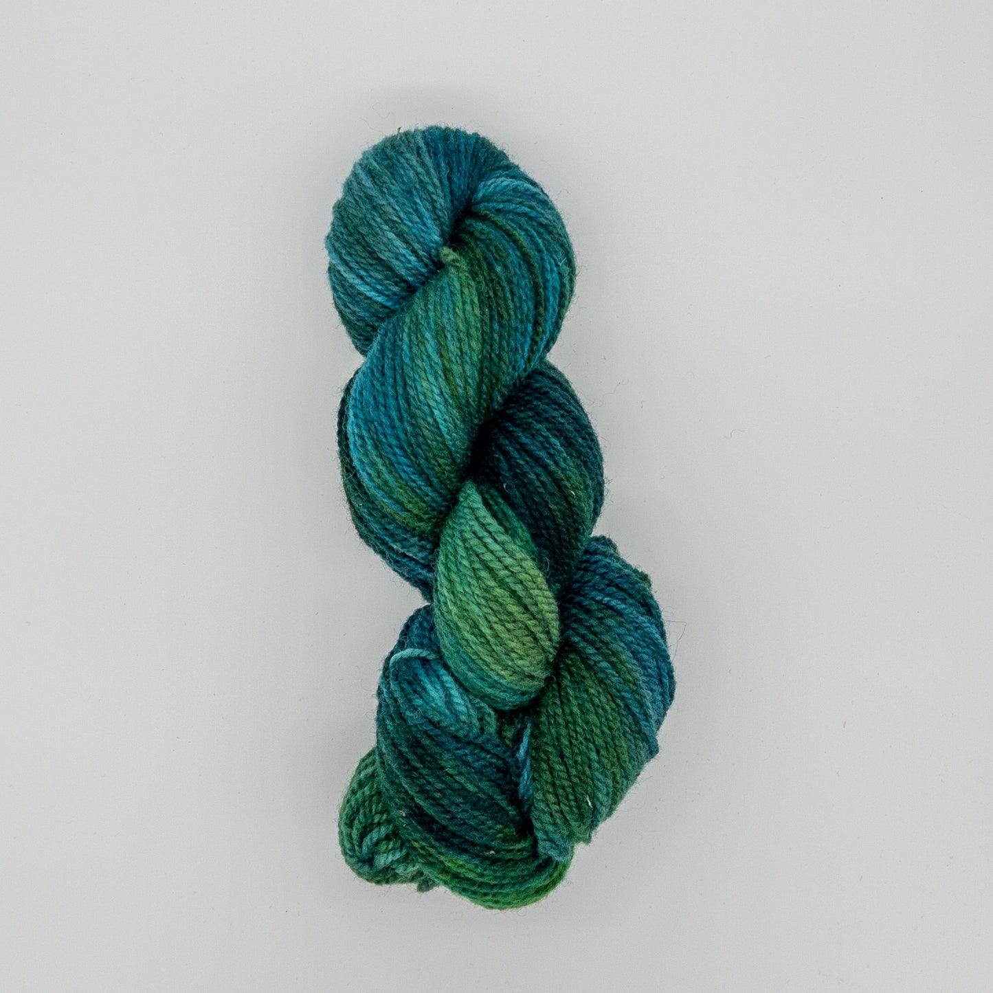 Rainforest - Hand Dyed Yarn