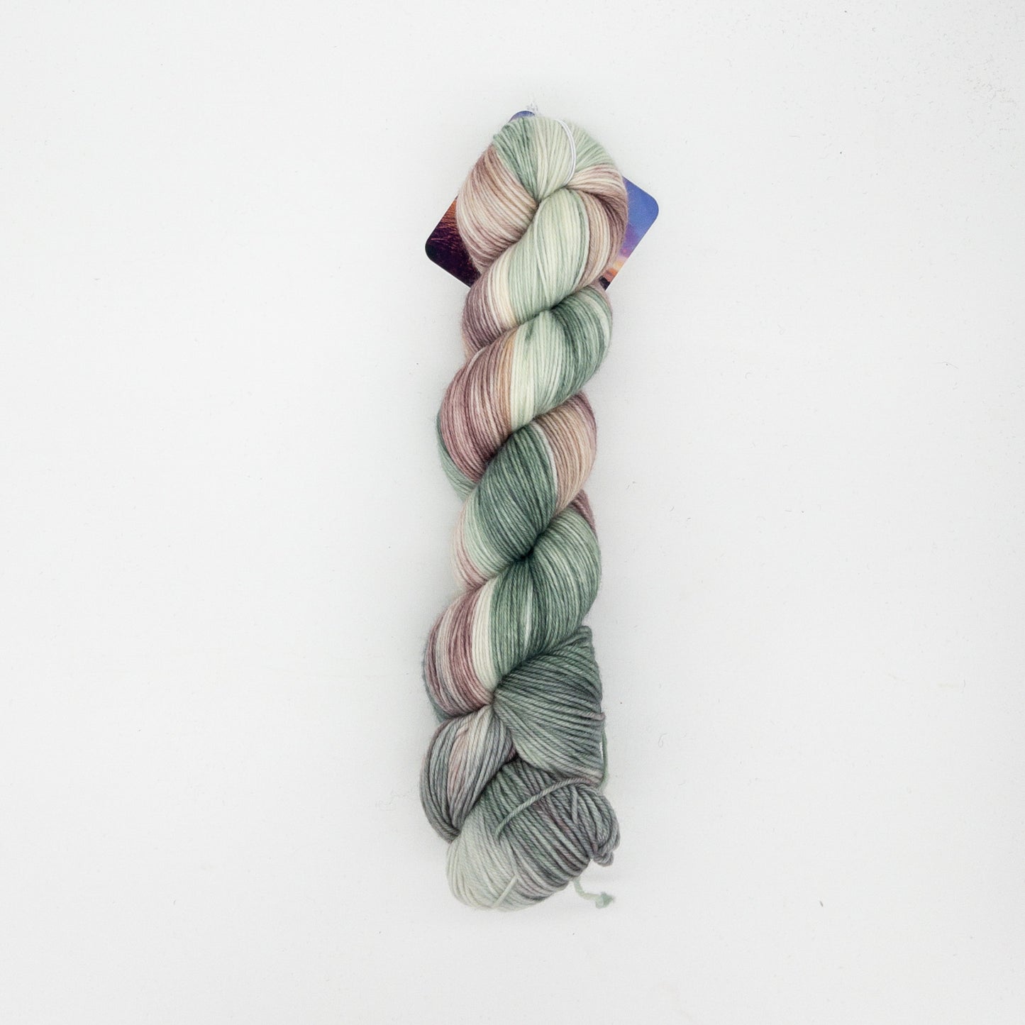 Arcane Fibre Works Web of Life Sock