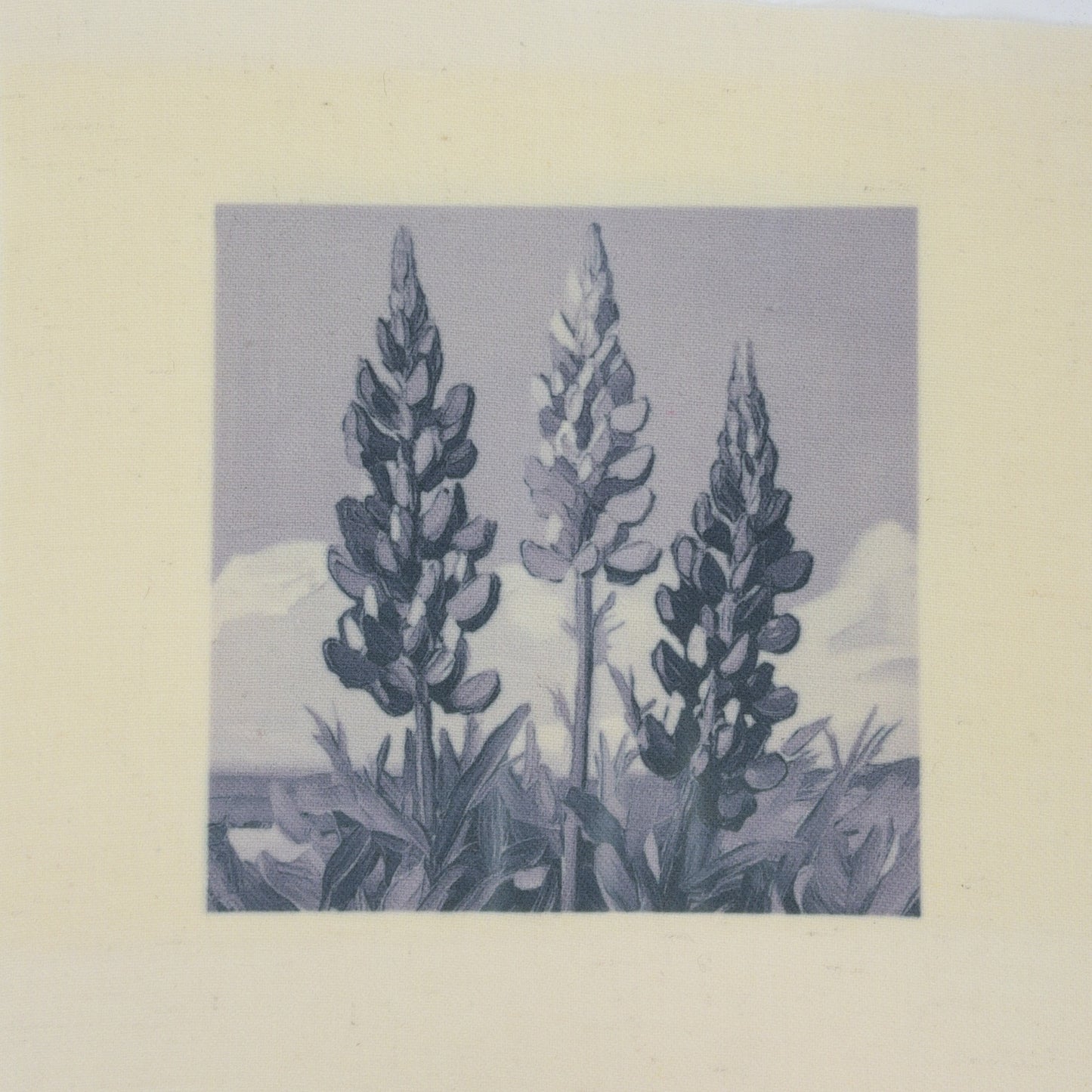 Needle Felting - Lupins