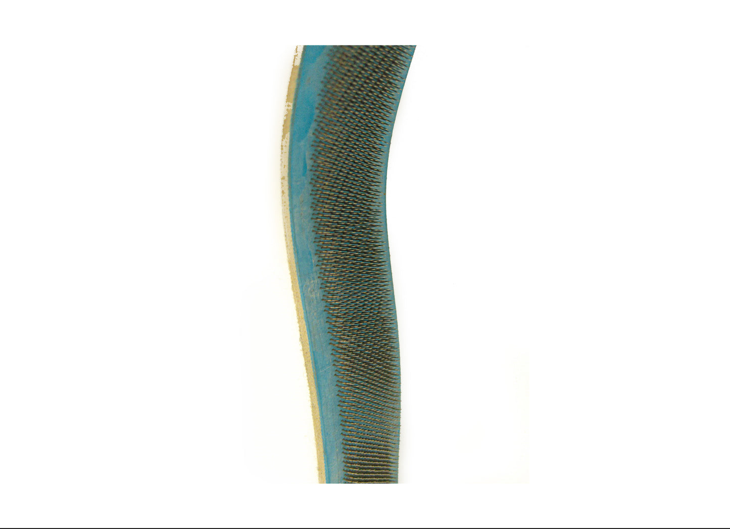 Gripper Strip