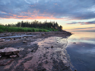 Loopy Impressions Pattern - Custom Pattern