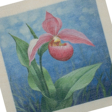 Loopy Impressions Pattern - Lady Slipper