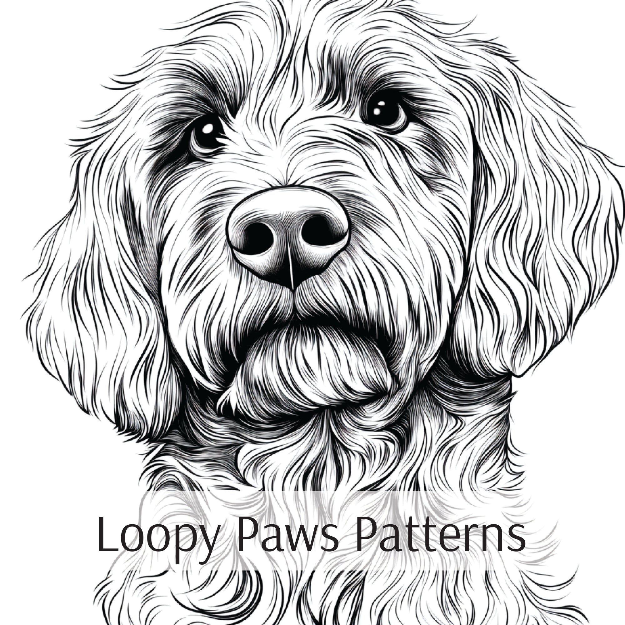 Loopy Paws Patterns