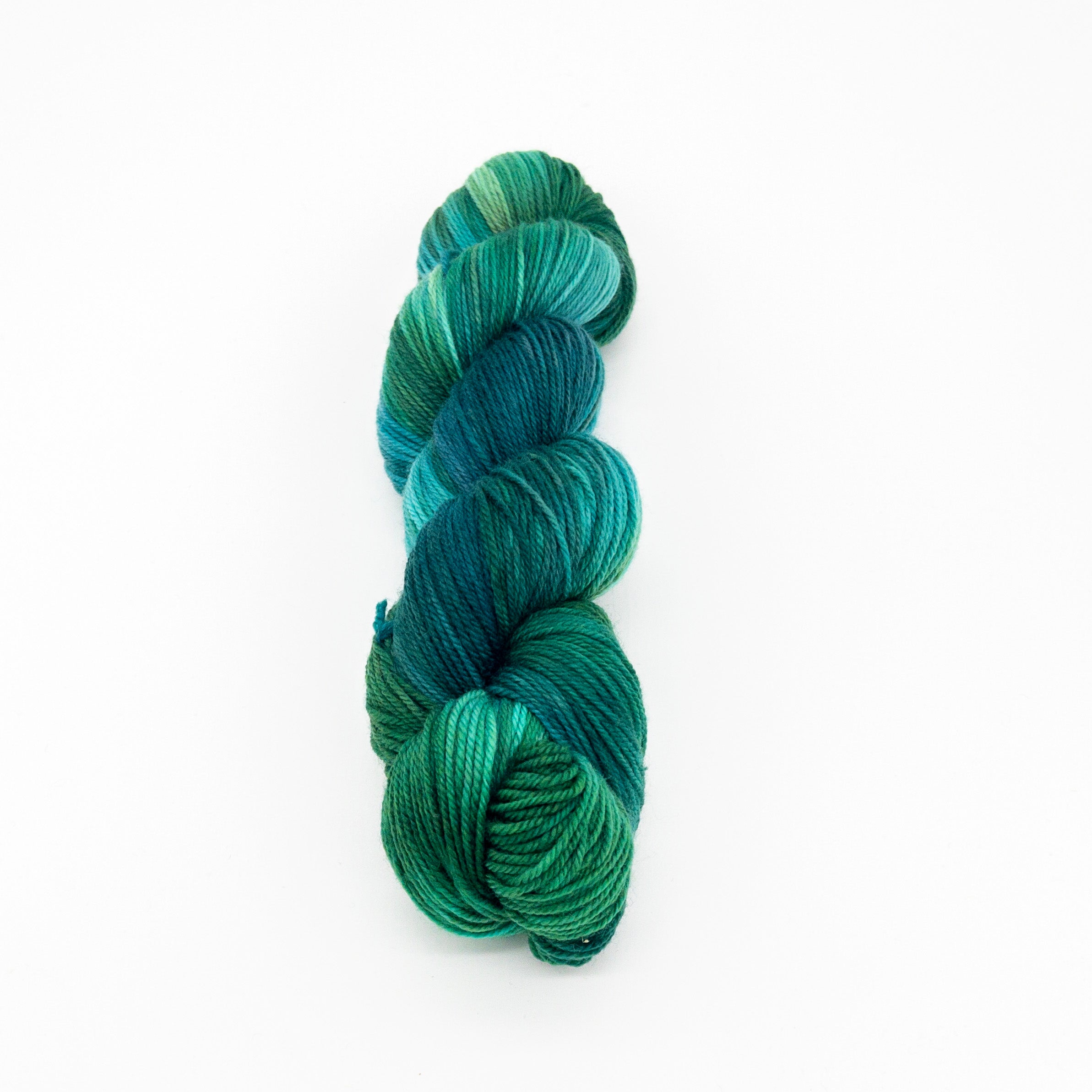 Loopy Signature Sock Yarn  - Garden Jungle