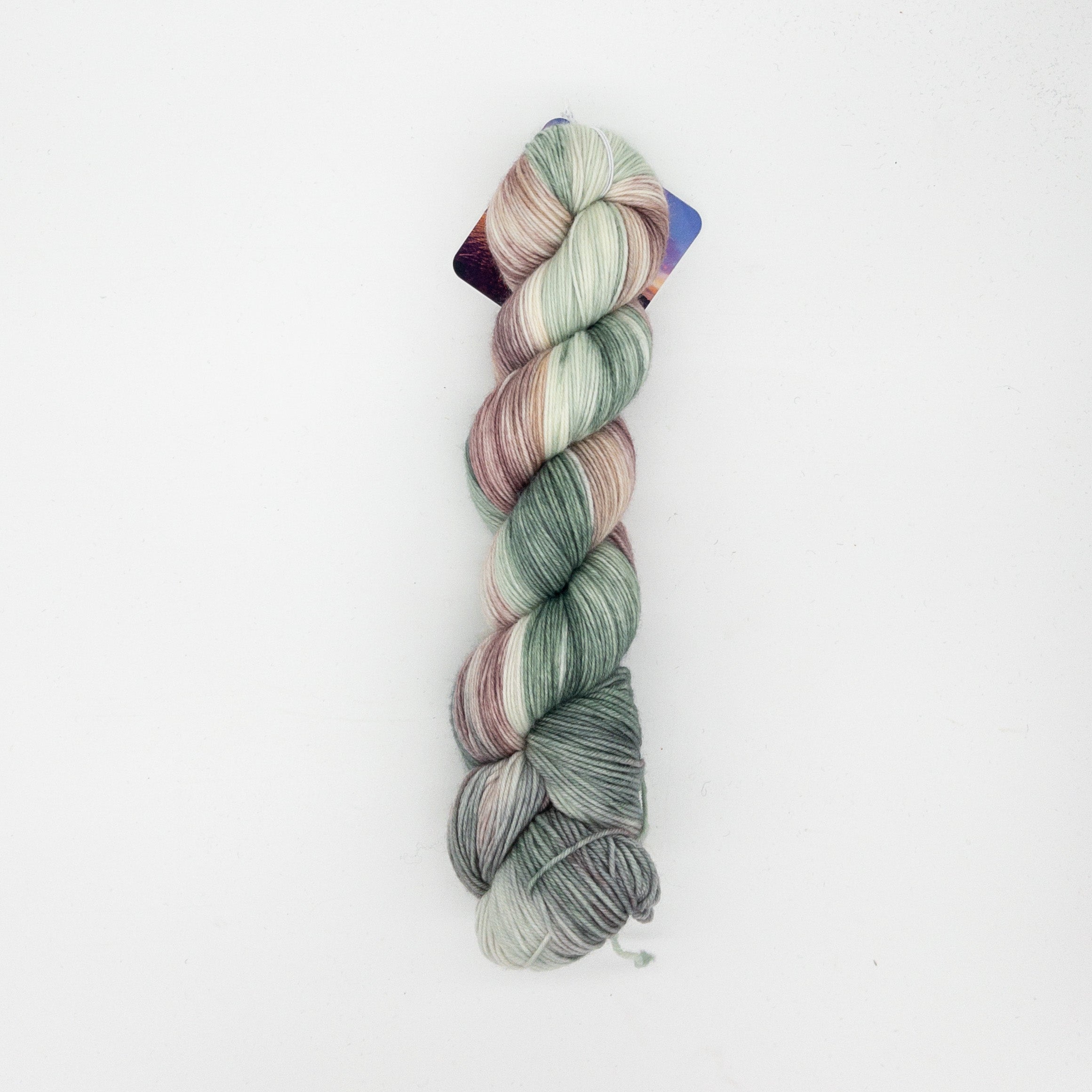 Arcane Fibre Works Web of Life Sock