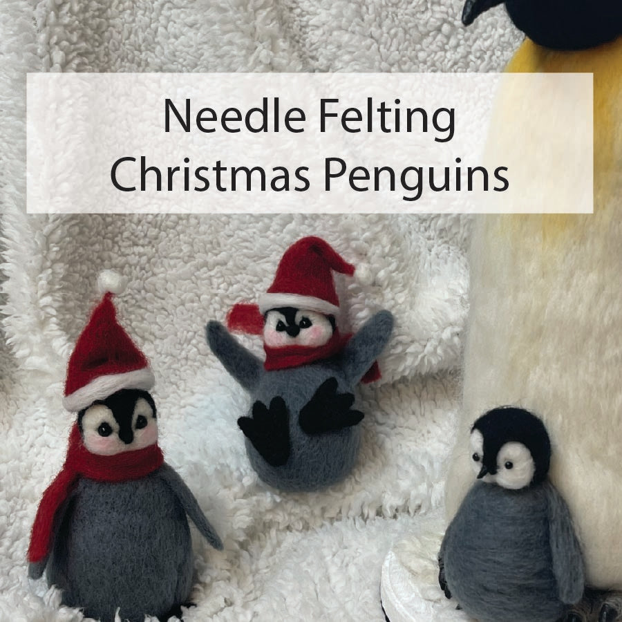 Needle Felting Class - Saturday November 29th 10am-12:30