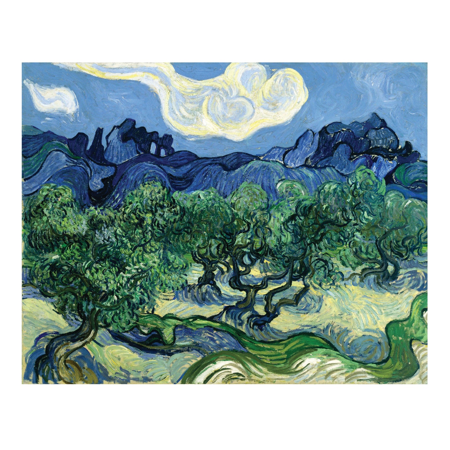 Loopy Impressions Van Gogh's Olive Trees with the Apilles