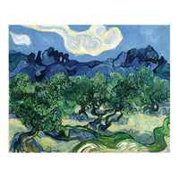 Loopy Impressions Van Gogh's Olive Trees with the Apilles